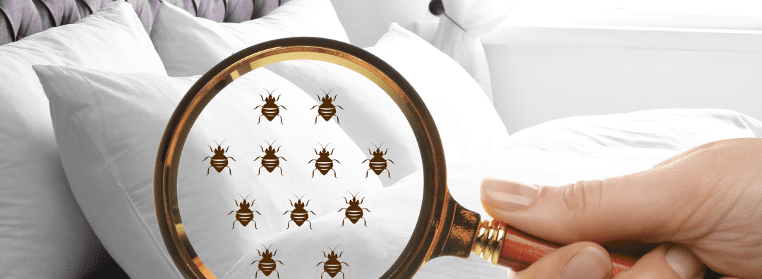 Nouveaux décrets sur l’insalubrité des logements : obligations et sanctions